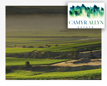 ** SOLD OUT ** LOWER HUNTER RURAL LIVING: Camyr Allyn Estate